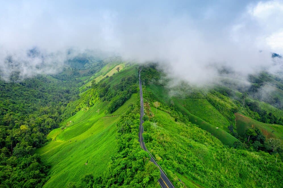 A winding road cuts through vibrant green hills shrouded in mist